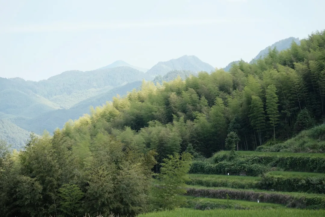 服装生产工艺全流程质量管控体系构建要点